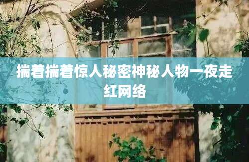 揣着揣着惊人秘密神秘人物一夜走红网络