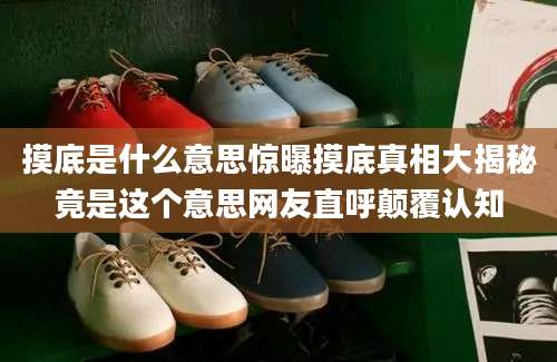 摸底是什么意思惊曝摸底真相大揭秘竟是这个意思网友直呼颠覆认知