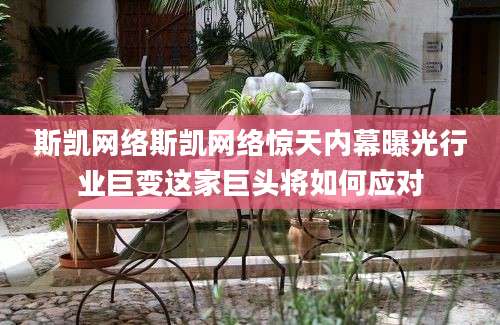 斯凯网络斯凯网络惊天内幕曝光行业巨变这家巨头将如何应对
