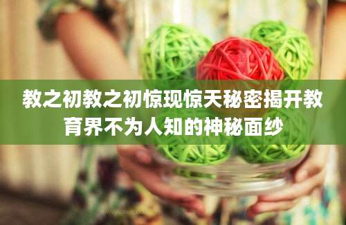 教之初教之初惊现惊天秘密揭开教育界不为人知的神秘面纱