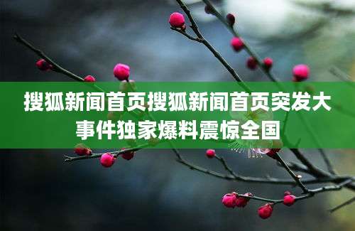 搜狐新闻首页搜狐新闻首页突发大事件独家爆料震惊全国