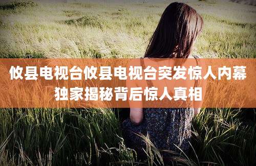 攸县电视台攸县电视台突发惊人内幕独家揭秘背后惊人真相