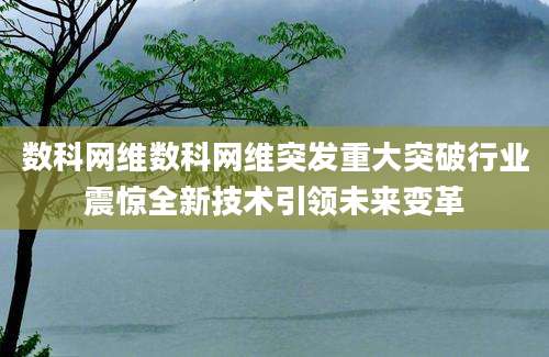 数科网维数科网维突发重大突破行业震惊全新技术引领未来变革