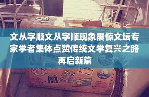 文从字顺文从字顺现象震惊文坛专家学者集体点赞传统文学复兴之路再启新篇