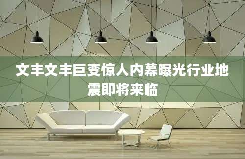 文丰文丰巨变惊人内幕曝光行业地震即将来临