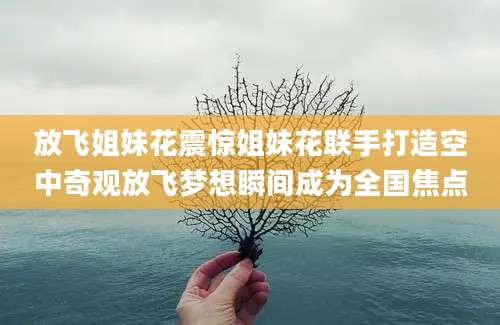 放飞姐妹花震惊姐妹花联手打造空中奇观放飞梦想瞬间成为全国焦点