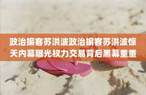 政治掮客苏洪波政治掮客苏洪波惊天内幕曝光权力交易背后黑幕重重