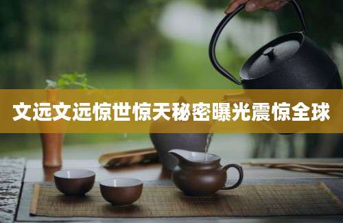 文远文远惊世惊天秘密曝光震惊全球