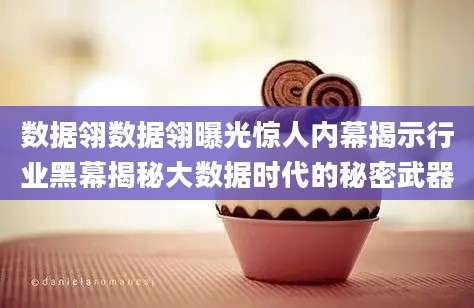 数据翎数据翎曝光惊人内幕揭示行业黑幕揭秘大数据时代的秘密武器