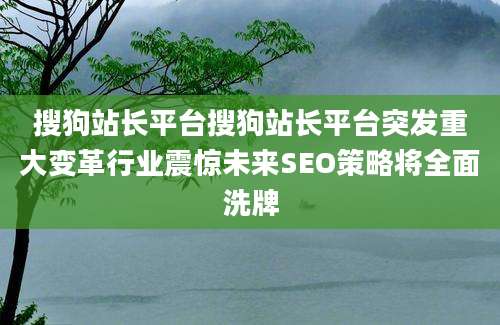 搜狗站长平台搜狗站长平台突发重大变革行业震惊未来SEO策略将全面洗牌