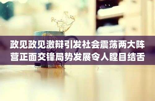 政见政见激辩引发社会震荡两大阵营正面交锋局势发展令人瞠目结舌