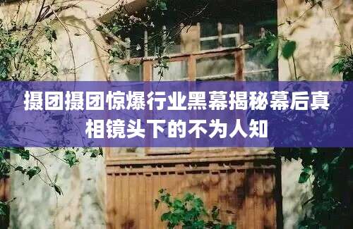 摄团摄团惊爆行业黑幕揭秘幕后真相镜头下的不为人知