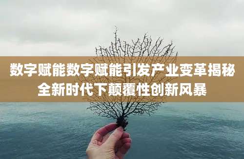 数字赋能数字赋能引发产业变革揭秘全新时代下颠覆性创新风暴