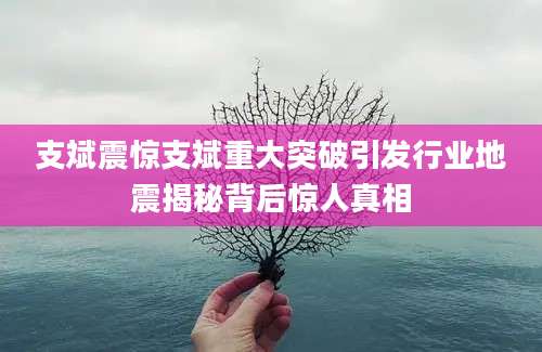 支斌震惊支斌重大突破引发行业地震揭秘背后惊人真相