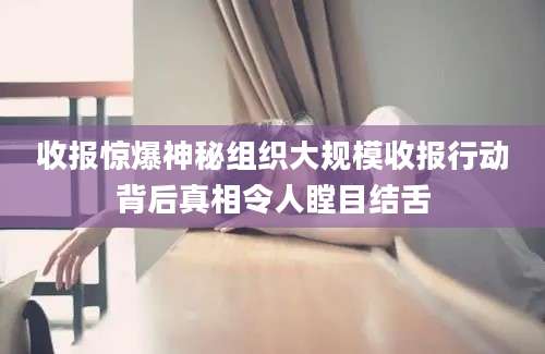 收报惊爆神秘组织大规模收报行动背后真相令人瞠目结舌