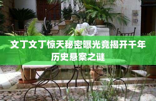 文丁文丁惊天秘密曝光竟揭开千年历史悬案之谜