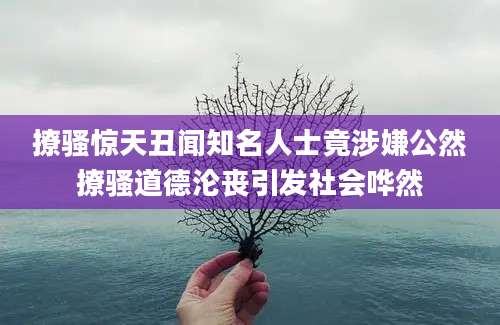 撩骚惊天丑闻知名人士竟涉嫌公然撩骚道德沦丧引发社会哗然