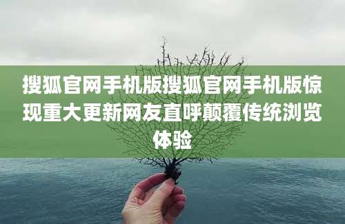搜狐官网手机版搜狐官网手机版惊现重大更新网友直呼颠覆传统浏览体验