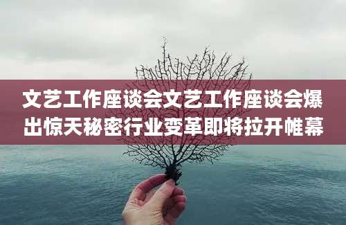 文艺工作座谈会文艺工作座谈会爆出惊天秘密行业变革即将拉开帷幕