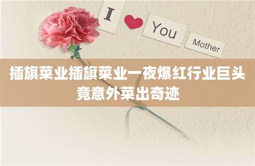 插旗菜业插旗菜业一夜爆红行业巨头竟意外菜出奇迹