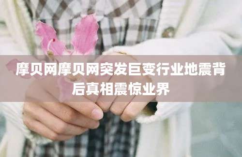 摩贝网摩贝网突发巨变行业地震背后真相震惊业界