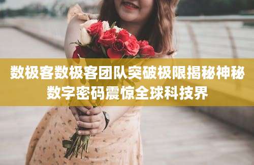 数极客数极客团队突破极限揭秘神秘数字密码震惊全球科技界