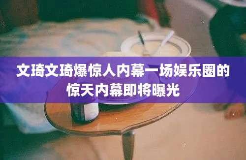 文琦文琦爆惊人内幕一场娱乐圈的惊天内幕即将曝光