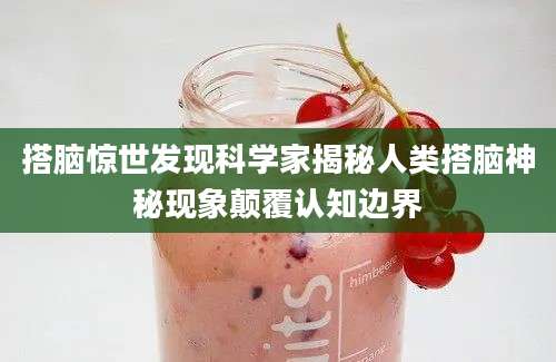 搭脑惊世发现科学家揭秘人类搭脑神秘现象颠覆认知边界
