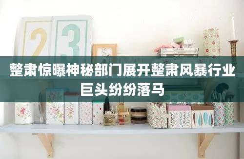 整肃惊曝神秘部门展开整肃风暴行业巨头纷纷落马