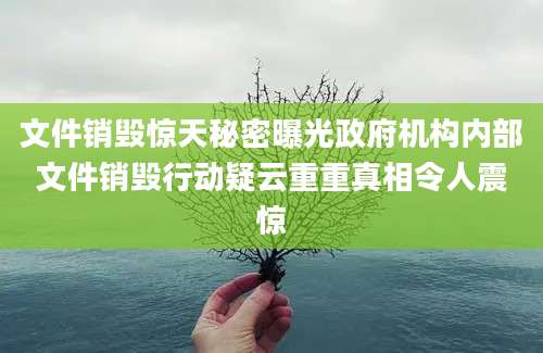 文件销毁惊天秘密曝光政府机构内部文件销毁行动疑云重重真相令人震惊