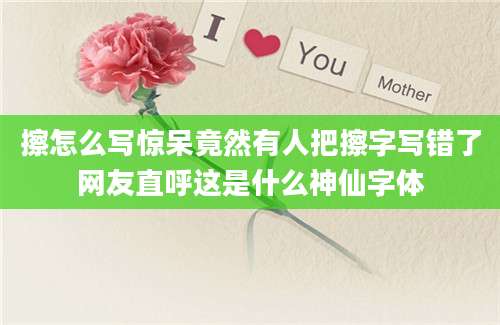 擦怎么写惊呆竟然有人把擦字写错了网友直呼这是什么神仙字体