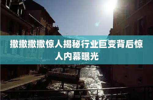 撒撒撒撒惊人揭秘行业巨变背后惊人内幕曝光