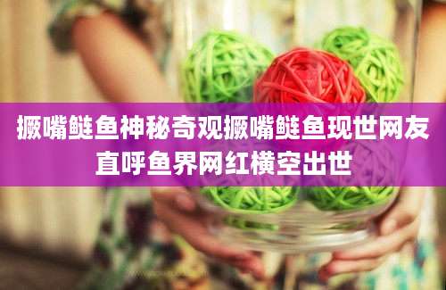 撅嘴鲢鱼神秘奇观撅嘴鲢鱼现世网友直呼鱼界网红横空出世