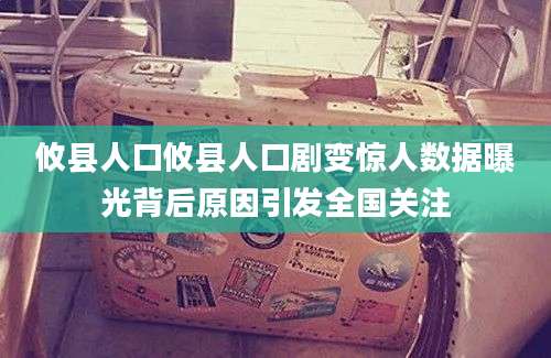攸县人口攸县人口剧变惊人数据曝光背后原因引发全国关注