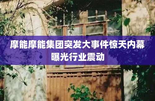 摩能摩能集团突发大事件惊天内幕曝光行业震动