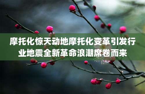 摩托化惊天动地摩托化变革引发行业地震全新革命浪潮席卷而来
