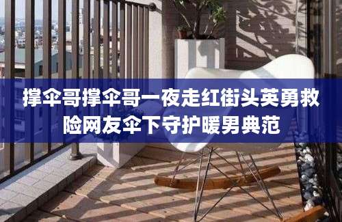 撑伞哥撑伞哥一夜走红街头英勇救险网友伞下守护暖男典范