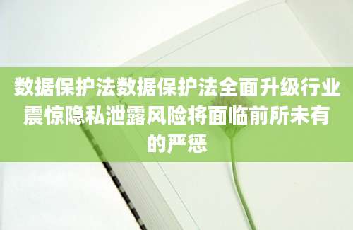 数据保护法数据保护法全面升级行业震惊隐私泄露风险将面临前所未有的严惩