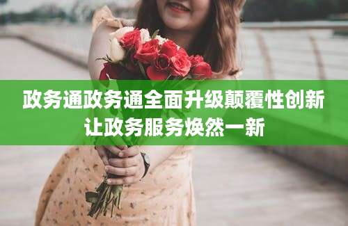 政务通政务通全面升级颠覆性创新让政务服务焕然一新