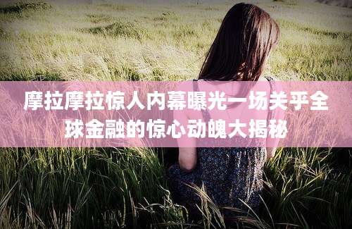 摩拉摩拉惊人内幕曝光一场关乎全球金融的惊心动魄大揭秘