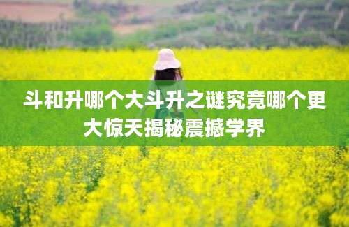 斗和升哪个大斗升之谜究竟哪个更大惊天揭秘震撼学界