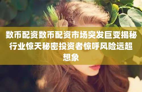 数币配资数币配资市场突发巨变揭秘行业惊天秘密投资者惊呼风险远超想象