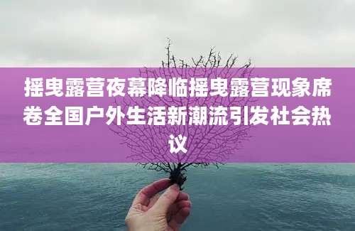 摇曳露营夜幕降临摇曳露营现象席卷全国户外生活新潮流引发社会热议