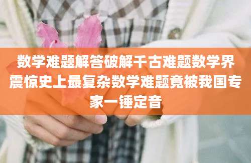 数学难题解答破解千古难题数学界震惊史上最复杂数学难题竟被我国专家一锤定音