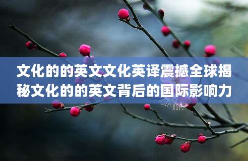 文化的的英文文化英译震撼全球揭秘文化的的英文背后的国际影响力