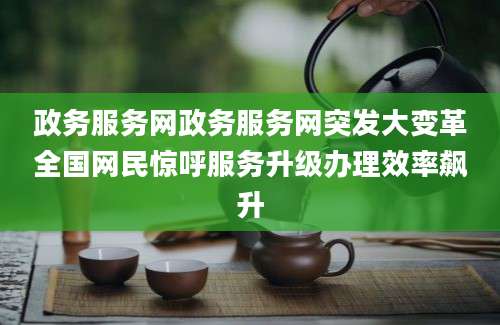 政务服务网政务服务网突发大变革全国网民惊呼服务升级办理效率飙升