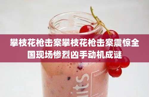 攀枝花枪击案攀枝花枪击案震惊全国现场惨烈凶手动机成谜