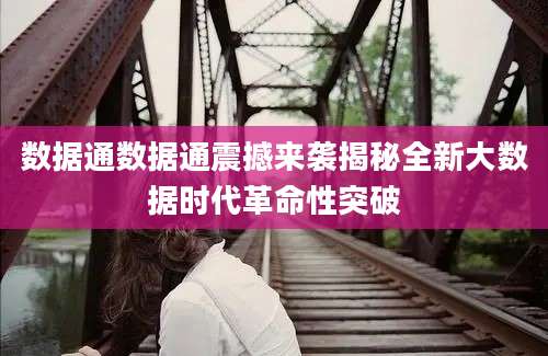 数据通数据通震撼来袭揭秘全新大数据时代革命性突破