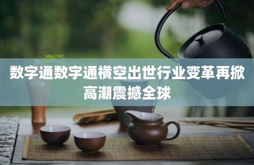 数字通数字通横空出世行业变革再掀高潮震撼全球