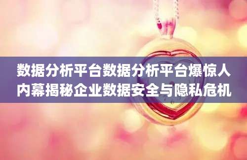 数据分析平台数据分析平台爆惊人内幕揭秘企业数据安全与隐私危机